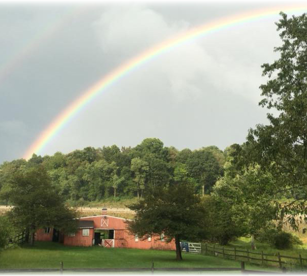 photo of our Pittsburgh farm market and farmland with the forest and a rainbow in behind