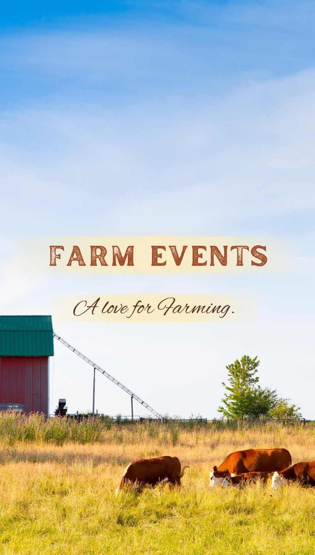 Dairy cows grazing on farmland with red barn and blue skies in the background, text displaying "farm events a love for farming"