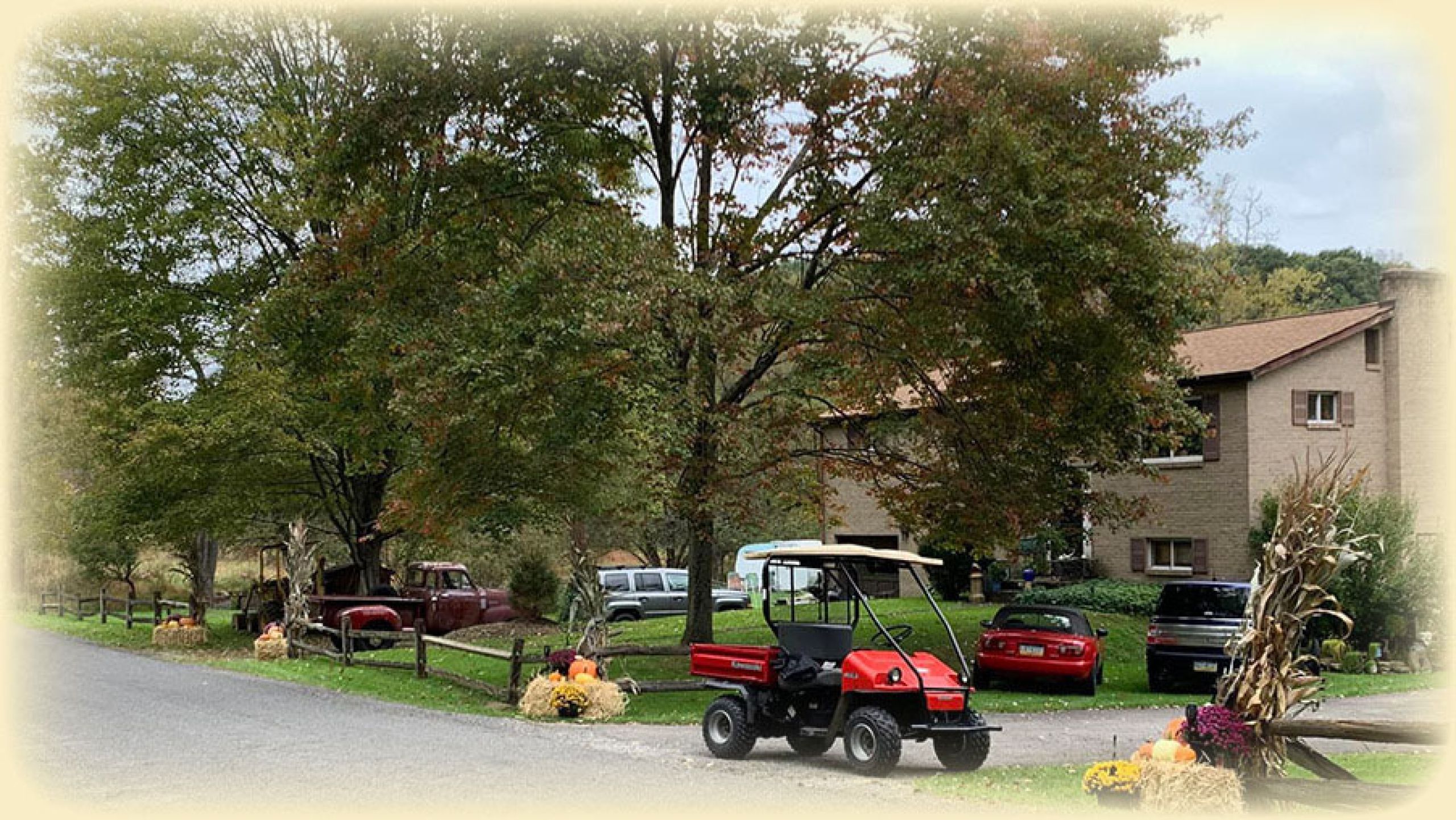 Landscape photo of Green Goose Farm with tree in the front yard and vehicles surrounding it