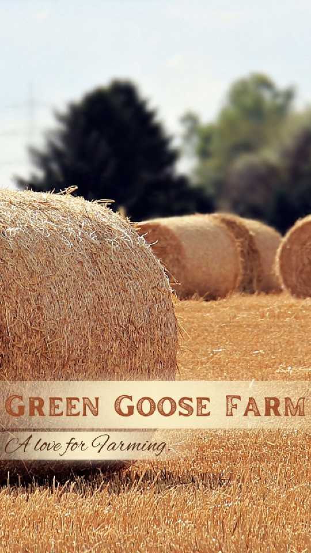 Hay bales on farmland with forest in the background, text displaying "green goose farm a love for farming"