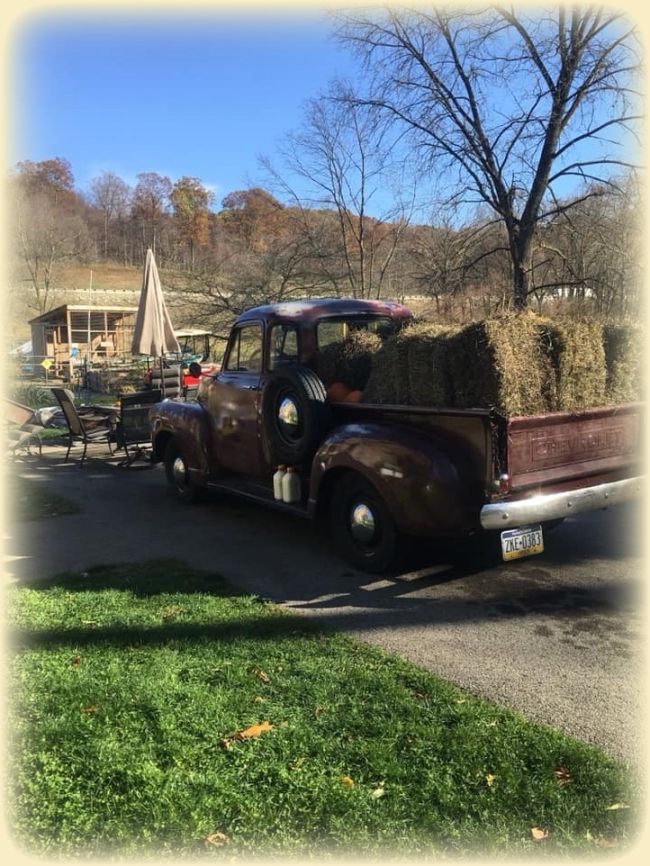 Green Goose Farm's truck with hay in the back overlooking the farm