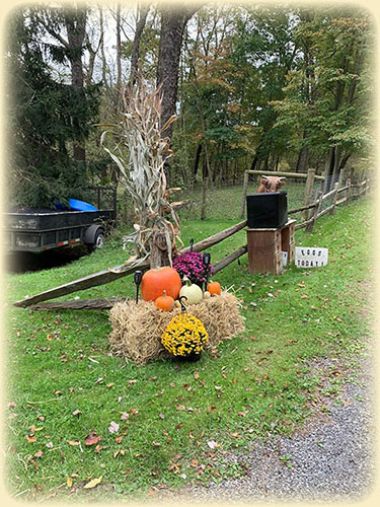 Green Goose Farm stand for selling fresh goods with pumpkin patch display to the left