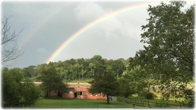 Landscape photo our lovely organic Pittsburgh farm with a rainbow in the sky and forest in the background