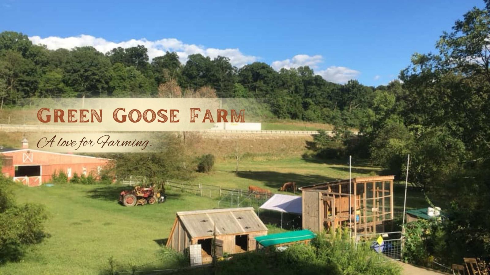 Green Goose Farm landscape photo with overlay saying "green goose farm, a love for farming"