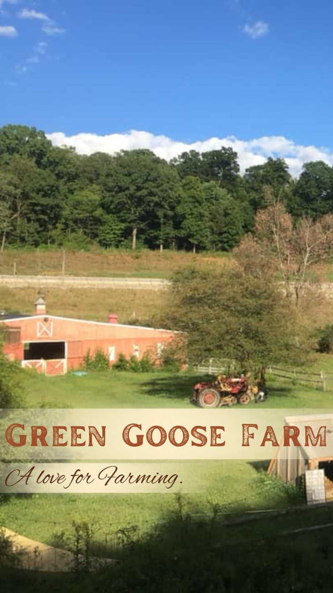 Green Goose Farm landscape photo with overlay saying "green goose farm, a love for farming"