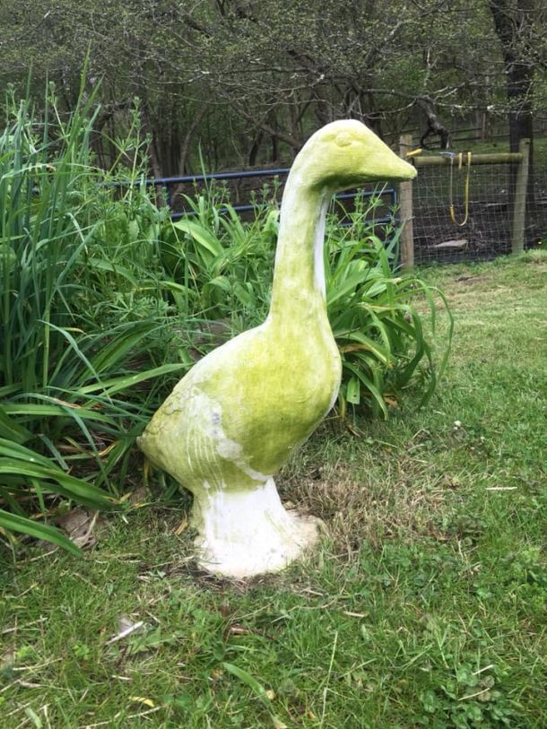 A ceramic green goose planted in the pasture at the farm