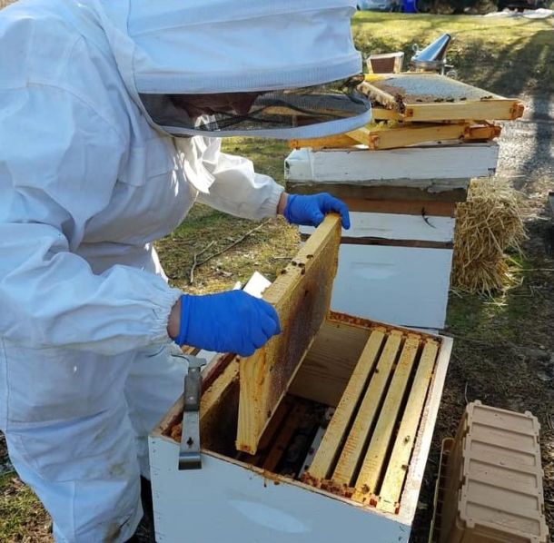 Michelle tending to the hive with a beekeeping suit on